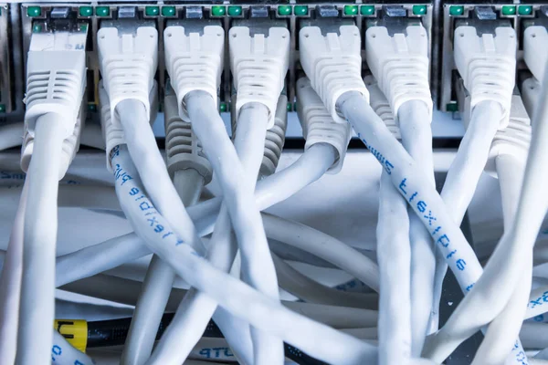 White Patch Cables Connected Data Switch — Stock Photo, Image