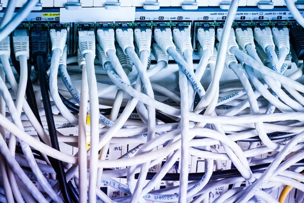 White Patch Cables Connected Data Switch — Stock Photo, Image