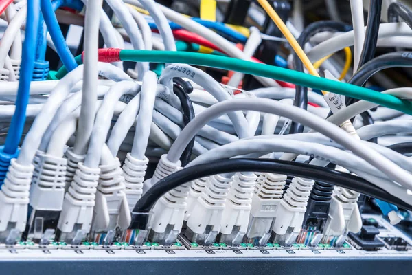 Various Ethernet Cables Plugged Network Switch — Stock Photo, Image