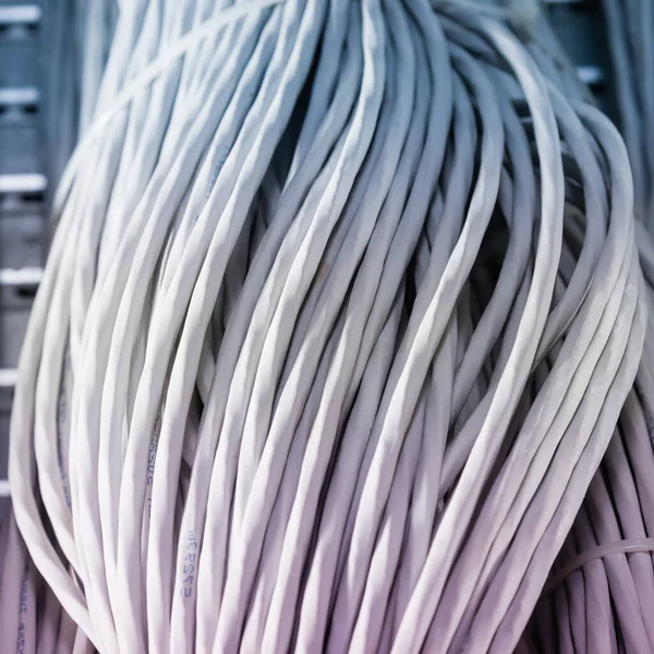 Detail Van Een Groot Aantal Ethernetkabels Die Serverruimte Met Elkaar — Stockfoto