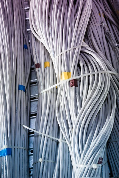 Detalle Gran Número Cables Ethernet Atados Entre Conectando Bastidores Dentro —  Fotos de Stock