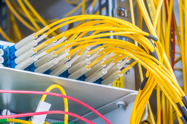 Cables Fibra Óptica Enchufados Panel Del Interruptor Red Dentro Del —  Fotos de Stock