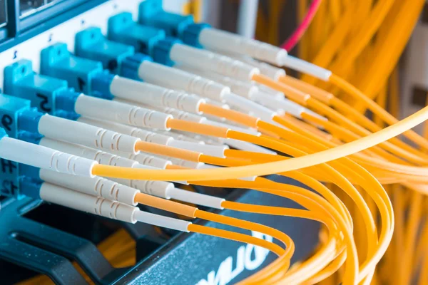 Cables Fibra Óptica Enchufados Panel Del Interruptor Red Dentro Del — Foto de Stock