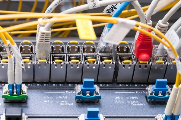 Detalle Los Cables Ethernet Conectados Los Puertos Conmutación — Foto de Stock