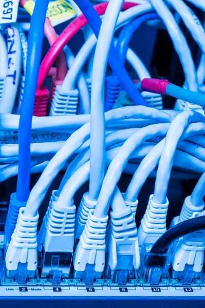 Различные Кабели Ethernet Подключенные Сетевому Коммутатору — стоковое фото
