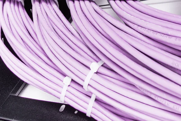 Manojo Cables Red Conexión Ordenados Gabinete Rack Que Conduce Desde —  Fotos de Stock