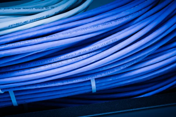 Manojo Cables Red Conexión Ordenados Gabinete Rack Que Conduce Desde —  Fotos de Stock