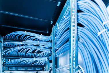 bunch of patch network cables sorted in rack cabinet, leading from patch panel in the server rack in the data center room clipart