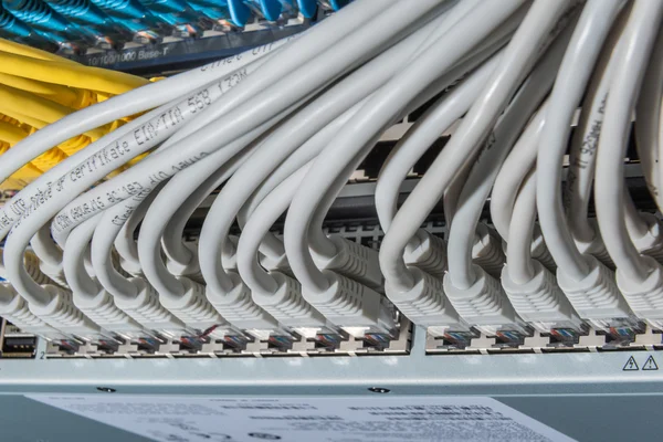 Network cables connected to switch — Stock Photo, Image