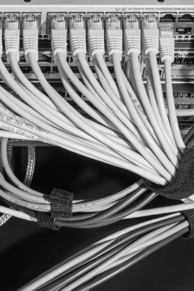 Kabel jaringan yang terhubung ke switch — Stok Foto