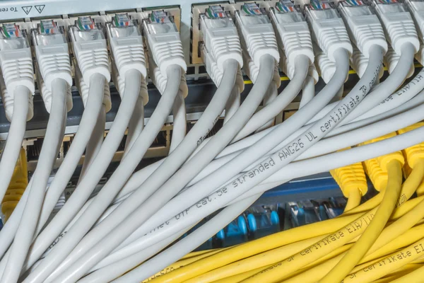 Network cables connected to switch — Stock Photo, Image