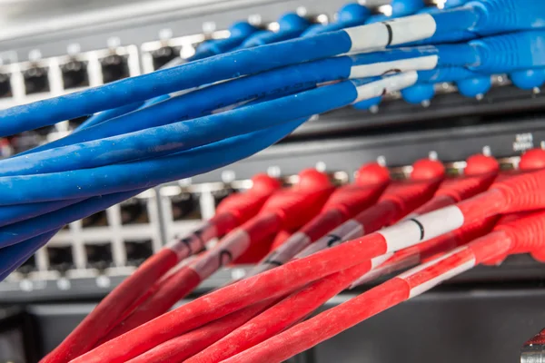 Network hub and patch cables — Stock Photo, Image