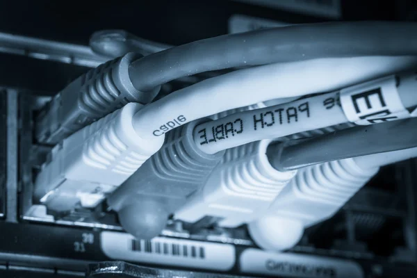 Netzwerk-Hub und Patchkabel — Stockfoto