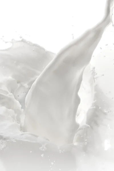 Milk splash — Stock Photo, Image