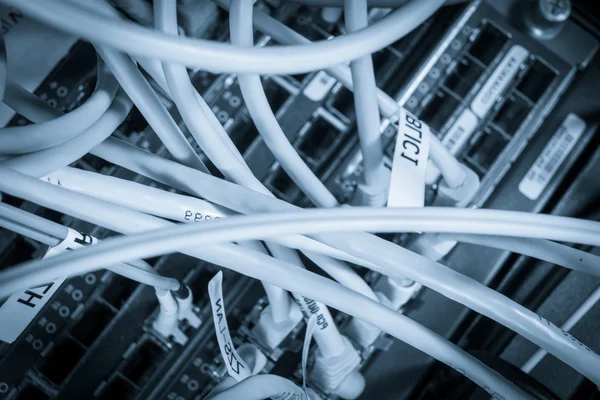 Netzwerk-Hub und Patchkabel — Stockfoto