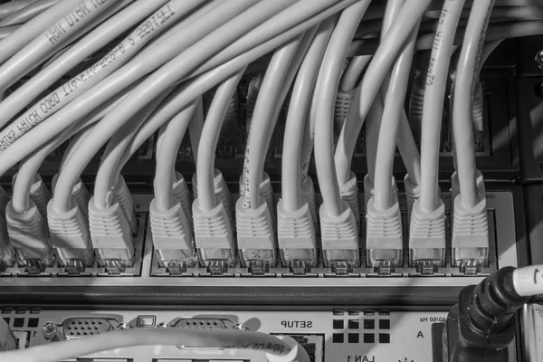 Kabel jaringan yang terhubung ke switch — Stok Foto