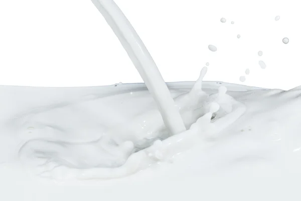 Une éclaboussure de lait — Photo