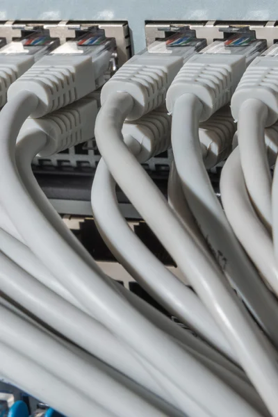 Network cables connected to switch — Stock Photo, Image