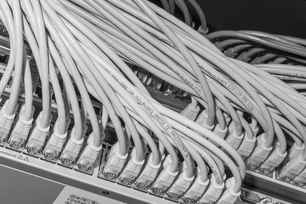 Мережеві кабелі з'єднані для перемикання — стокове фото