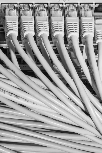Мережеві кабелі з'єднані для перемикання — стокове фото