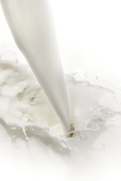 A milk splash — Stock Photo, Image