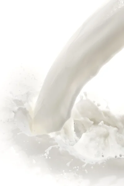 A milk splash — Stock Photo, Image