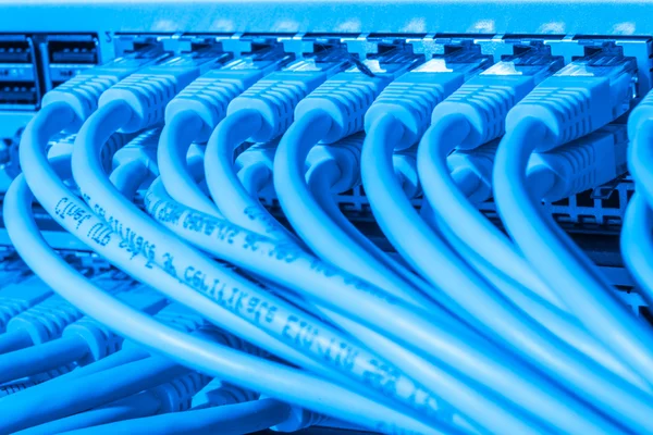 Anahtara bağlı ağ kabloları — Stok fotoğraf