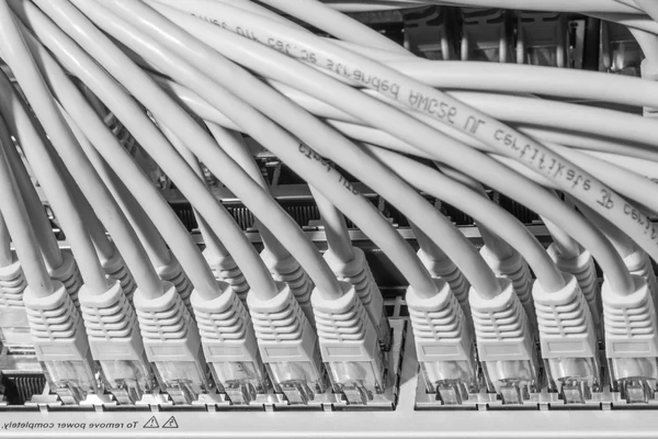 스위치에 연결 된 네트워크 케이블 — 스톡 사진