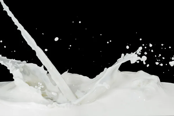 A milk splash — Stock Photo, Image