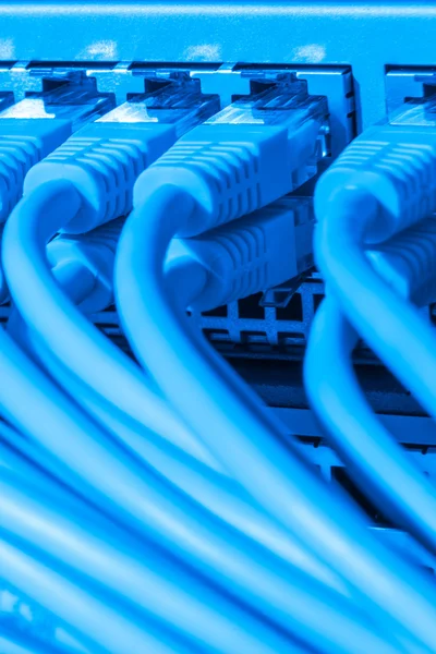 Cables de red conectados al conmutador —  Fotos de Stock