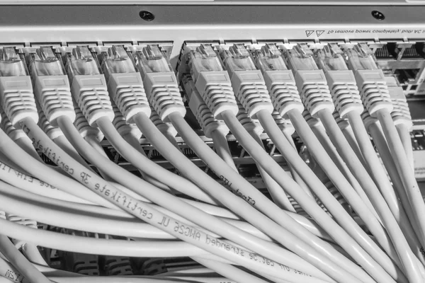 スイッチに接続されたネットワークケーブル — ストック写真