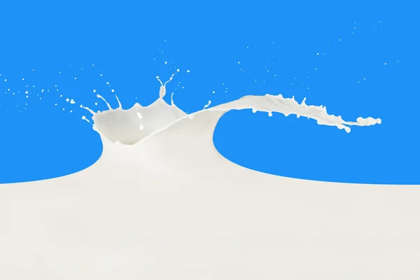 牛奶飞溅 — 图库照片