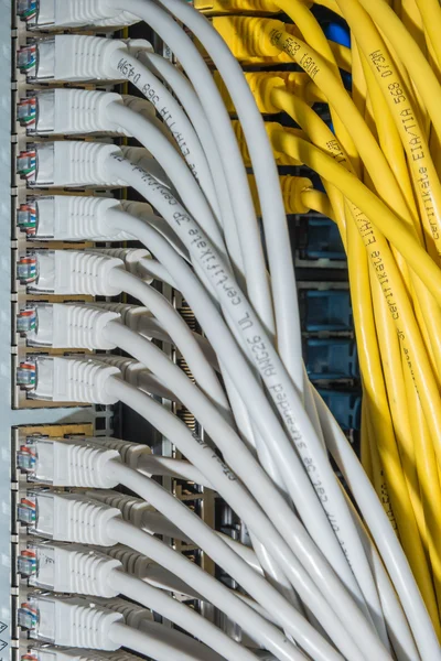 Network cables connected to switch — Stock Photo, Image