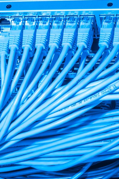 Network cables connected to switch — Stock Photo, Image