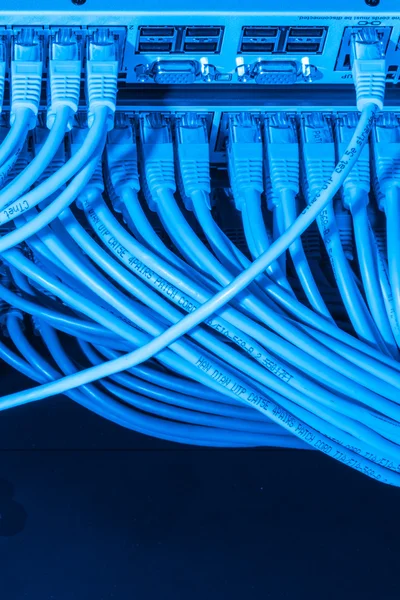 Kapcsolóhoz csatlakoztatott hálózati kábelek — Stock Fotó