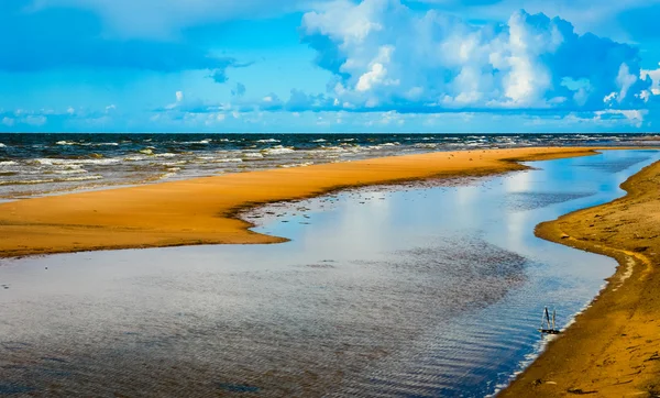 Fajne Morza Bałtyckiego — Zdjęcie stockowe