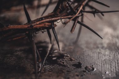 Kırmızı damlalı dikenli taç, buğday ilave dramatik amaçlar için 