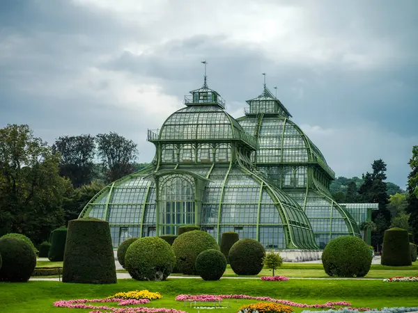 Viyana şehrinden anlar 