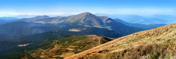 Vista desde la montaña Hoverla hasta la montaña Petros Imagen De Stock