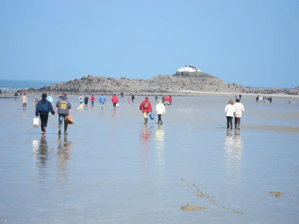 Pesca a conchiglia sul litorale a Martin spiaggia — Foto Stock