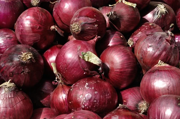 Rode uien op een marktkraam — Stockfoto