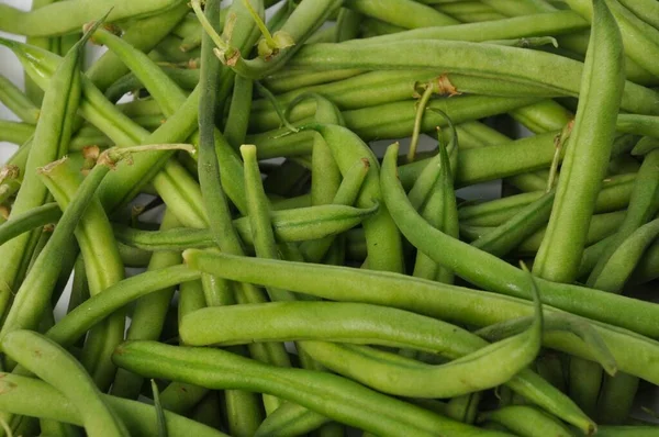 Haricots Verts Sur Fond Blanc — Photo