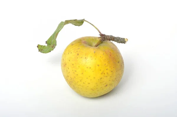 Äpple Vit Bakgrund — Stockfoto