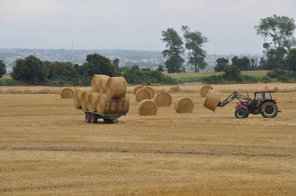 Plerin Frankreich August 2018 Traktorerntemaschine Walzt Stroh Plerin — Stockfoto
