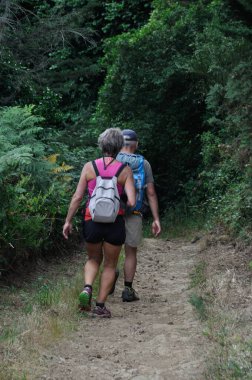 BINIC _ FRANCE, 05 HAZİRAN 2015: Brittany, Binic 'teki GR34' te yürüyüş yapanlar