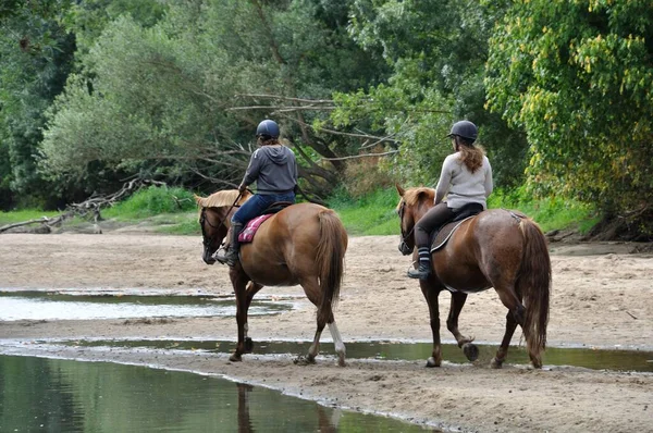 Excursionistas Caballo Largo Del Louet — Foto de Stock