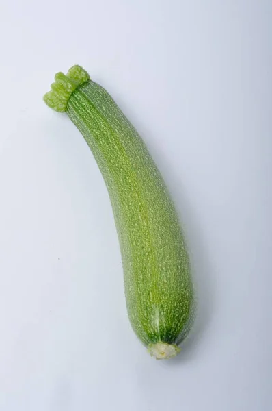 Zucchini Voller Blüte Auf Weißem Hintergrund — Stockfoto