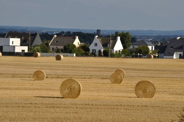 Haus Hinter Abgeerntetem Feld — Stockfoto