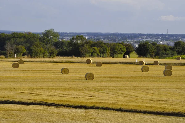 Rundballen Aus Stroh Auf Abgeernteten Feldern — Stockfoto