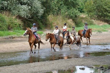  Louet boyunca at sırtında gezginler